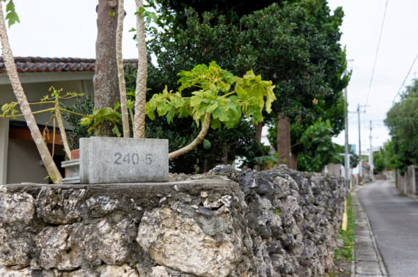 石垣島のサンゴ石の石垣