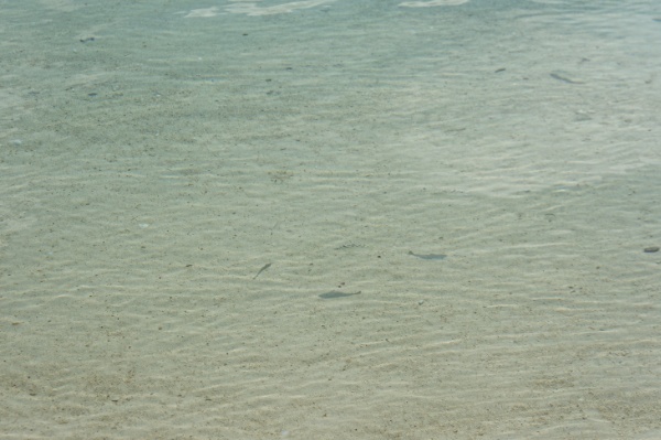 川平湾の展望台からの眺め