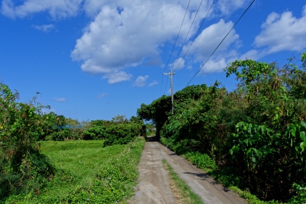 川平湾からタバガーへの道