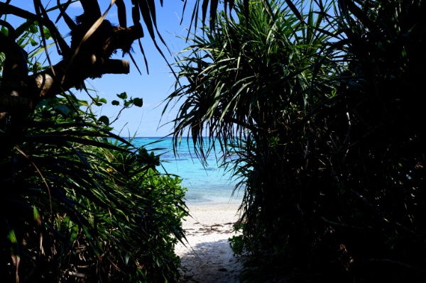 タバガーの浜全景