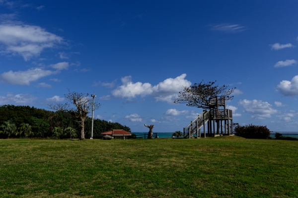 南ぬ島緑地公園の芝生広場