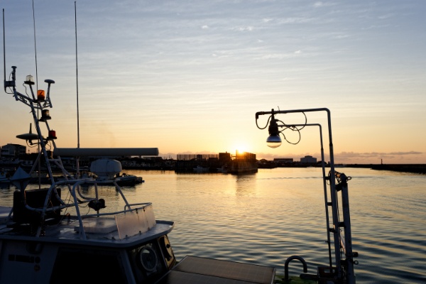 朝のサザンゲートブリッジ