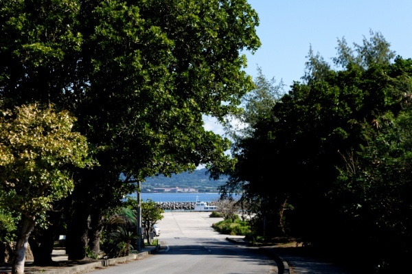 竹富島フェリーターミナル前の送迎バス