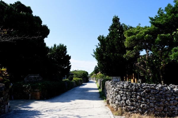 竹富島ターミナルから集落への道