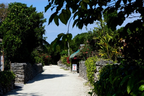 竹富島の集落へ続く道