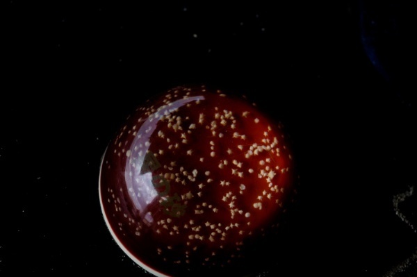 竹富島星砂海岸の砂浜