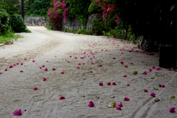 竹富島の集落散策