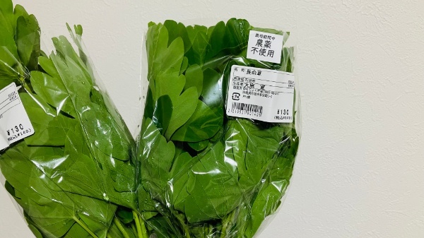 ゆらてぃく市場で見つけた長命草